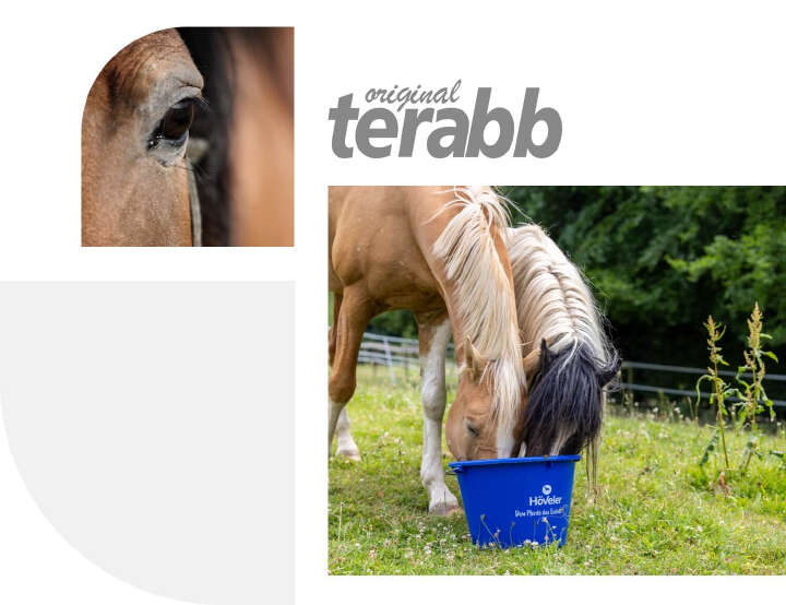 hoeveler terabb pferdefutter kategorie bild hoeveler terabb pferdefutter kategorie bild